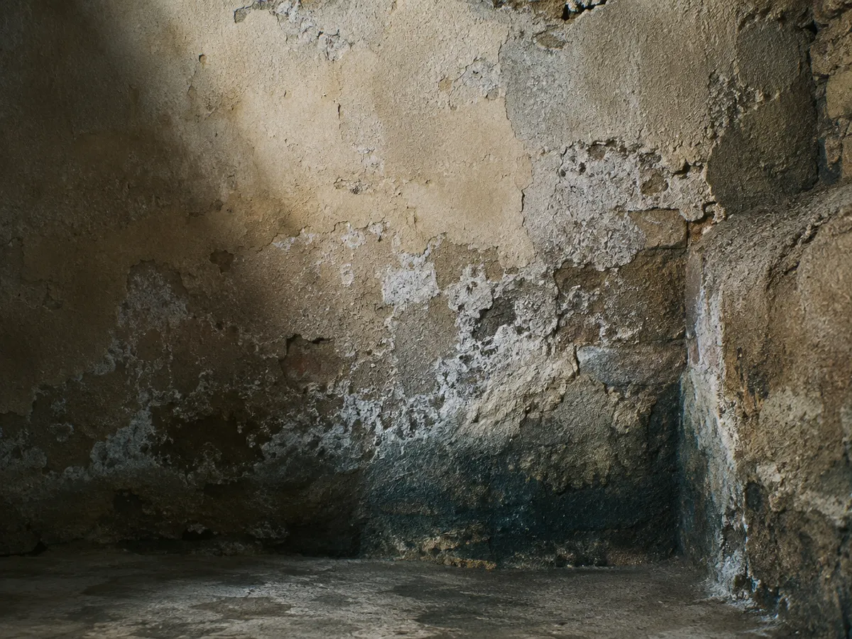 Feuchte Kellerwand mit Salzausblühungen
